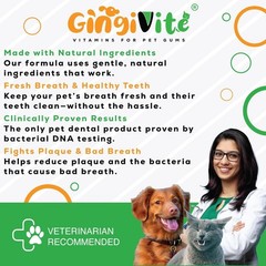 GINGIVITE Dog Teeth Cleaning Gel Vet Approved | Eliminate Plaque, Tartar Bad…