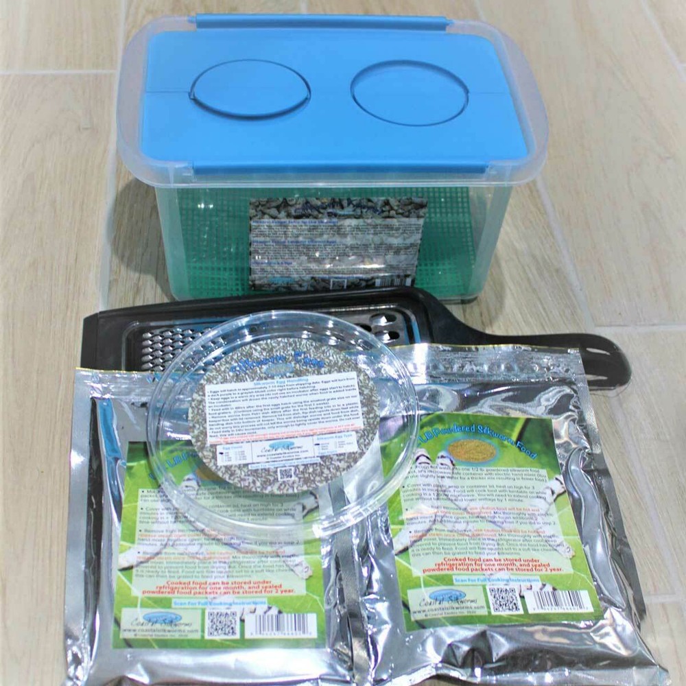 Educational Silkworm Kit Life Science Eggs – Cocoons v2.0