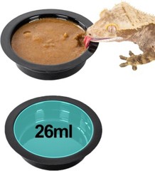 Acrylic Gecko Feeding Ledge – Magnetic Installation with 6 Feeding Cups
