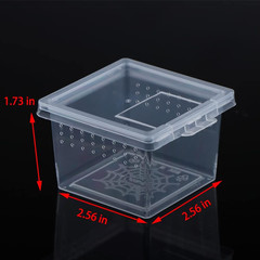 10 Pcs Insect Spider Terrariums Breeding Box Hatching Container Small Reptile Sc