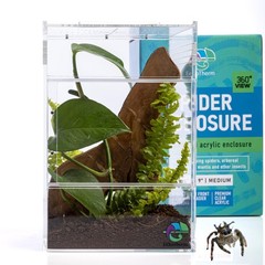 EctoTherm Jumping Spider Enclosure – for Habitat, Medium, Transparent