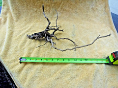 NATURAL SPIDER LIKE ROOT WOOD REPTILE TERRARIUM DECORATION ART GARDEN PET FLORAL