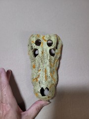 Medium Crocodile Skull For Snake Tank, Reptiles, Iguanas, New