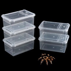 5 Pack Small Reptile Terrarium Breeding Transparent Hatching Container Plasti…