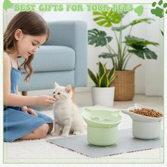2 Pack Slow Feeder Cat Bowls Silicone Tilted Raised Pet Bowl with Non Slip Ba…