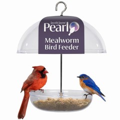 Mealworm Feeder – Jacobi Jayne® Pearl Feeder – Dome Bird Feeder for Small B