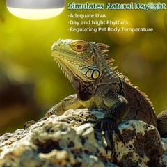 100W Reptile Heat Lamp Bulbs-UVA Basking Light for Lizards Turtles Snakes 2Pk