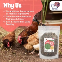 Dried Crickets 2.2 Lbs 1 Kg For Reptiles Birds Small Pets Natural Insect