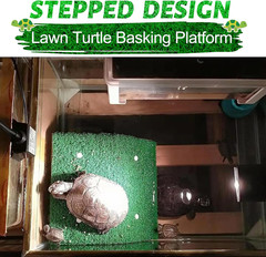 Small Turtle Basking Platform Simulation Grass Turtle Ramp, Turtle Resting Ba…
