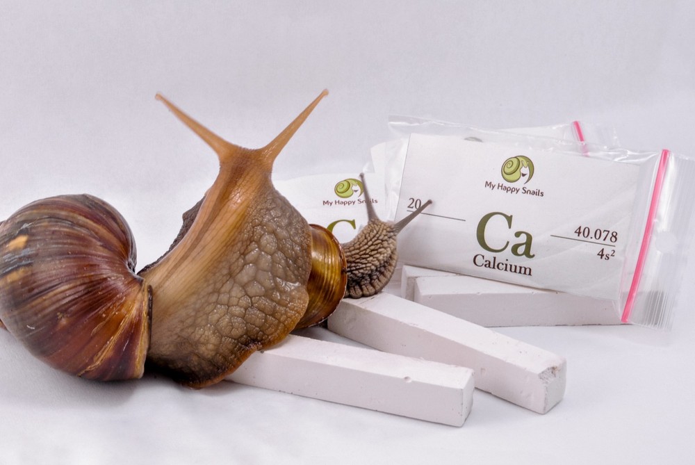Organic Calcium for Pet Snails (Broken shell recovery), Land Snail Supplement