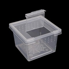 Plastic Insect Spider Habitat Feeding Box Case Container Tank Transport CaseJ ZC