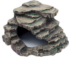 Large Bearded Dragon Habitat Accessories
