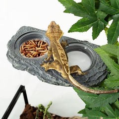 Magnetic Reptile Food & Water Feeder with Natural Look – Perfect for Terrariums