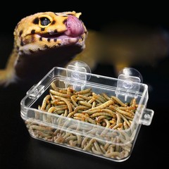 Reptile Feeder Anti-escape Bowl for Turtle Lizard Worm Live Container