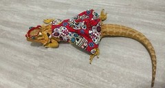 Bearded dragon Dress and flower crown, Red Sugar Skull