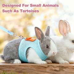 Rabbit Harness and Leash, Small Pet Cute Vest Harness Leash(M, Sky Blue)