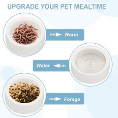 Reptile Food Bowl, Worm Water Dish Ceramic Pet Bowl Small (2 In, White, 2 Pack)