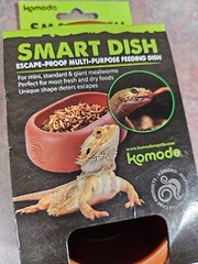 Komodo – Smart Dish – Plastic Mealworm Feeding Bowl for Reptiles – 5” – New