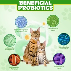 Probiotics for Cats – Cat Probiotic Powder Digestive Supplement with Digestiv…