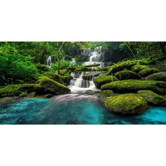 AWERT 48×18 inches Waterfall Terrarium Background Tropical Rainforest Aquariu…