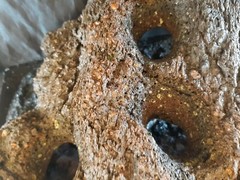 DRAGON STONE LAVAROCK FOR AQUARIUM HOLEY ROCK DECOR REPTILE CLIMB HIDE HARDSCAPE