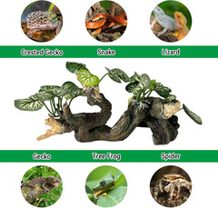 Branches for Reptiles,Crested Gecko Resin Climbing Tree Branch with Hideout Cave