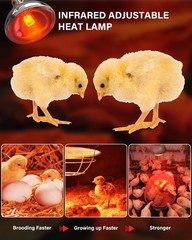 Heat Lamp Bulbs for Chickens Coop Brooder,150 Watt Reptile Heat Lamp Bulb Inf…