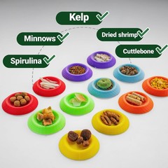 Small Invertebrate Feeding Dish – Cockroach Bowl, Ideal for Tiny Insect Pets