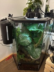 Thrive Vertical Hexagon Tropical Reptile Terrarium FULL SETUP