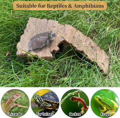 Turtle Basking Platform, Tortoise Floating Dock Reptiles Habitat Climbing Ram…