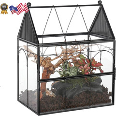 Glass Enclosure w/ Vent Holes for Insect Jumping Spiders Snails – 7.5″ xx 4.9″