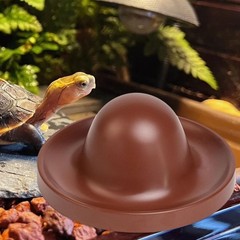 Reptile Feeding Dish Tortoise Food Dish designed for Bearded Dragon Tortoise