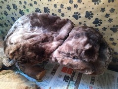 MINKY MARB FAUX FUR LRG ATTACHABLE RESTING BED SET CUDDLE COVER 4 BEARDED DRAGON