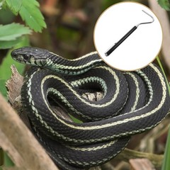 Retractable Reptile Hook Portable Snake Catching Hook Reptiles Catcher Catching