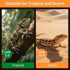 UVA UVB Reptile Light 23W 10.0,Desert Terrarium Compact Fluorescent Lamp,UVB …