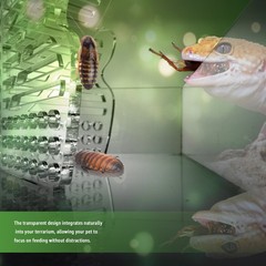 Bearded Dragon Bug Feeder Box – Clear Acrylic Climbing Bowl for Gecko, Chameleon