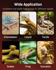 Pawfly 5 W Reptile Heat Pad 6 x 5.5 Inch Reptile Heating Pad Under Tank Terrariu
