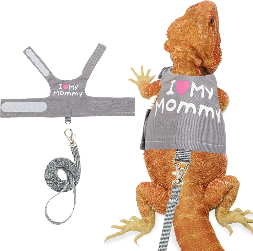 Bearded Dragon Harness and Leash Set – Cute Lizard Reptile Small Animal Adjustab
