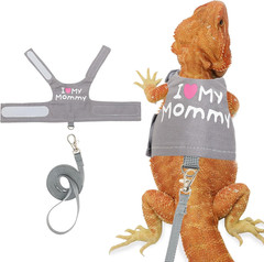 Bearded Dragon Harness and Leash Set – Cute Lizard Reptile Small Animal Adjustab