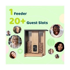 Smart Bird Feeder w/ Camera Solar 2K Live Stream AI Detect Wood