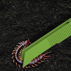 Reptile Poop Scooper Lightweight Cleanning Tool for Guinea Pig Gecko Turtles