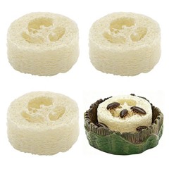 Cockroach Water Basin & 3 Loofah Set, Dubia Roaches Live Habitat Reptile Cont…