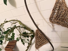 Reptile Habitat Accessories Bundle for Terrarium