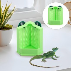 Green Suction Cup Lizard Food Cup for Wall Mounted Terrarium Feeding Bowl