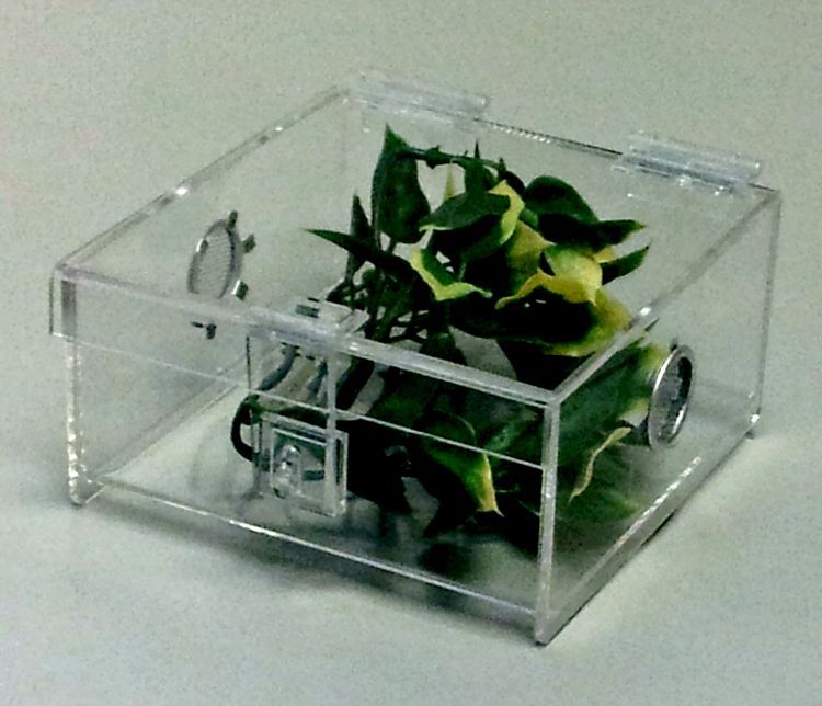 1/3 GALLON TERRESTRIAL CAGE WITH HINGED TOP -TARANTULA,REPTILES FREE SHIPPING