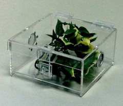 1/3 GALLON TERRESTRIAL CAGE WITH HINGED TOP -TARANTULA,REPTILES FREE SHIPPING