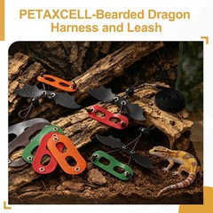 3Pcs Bearded Dragon Lizard Leash Harness with Wing LeatherS/M/L Orange