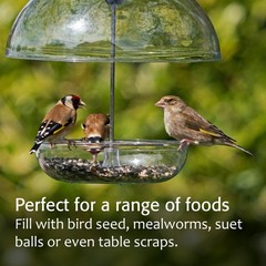 Mealworm Feeder – Jacobi Jayne® Pearl Feeder – Dome Bird Feeder for Small B