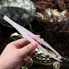 Reptile Feeding Tweezers Noctilucence Feeder Clip for Amphibians Reptiles Lizard