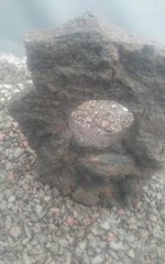 FISH TANK AQUARIUM DRAGON STONE HOLEY LIZARD REPTILE LAVA ROCK CLIMB ORNAMENTAL